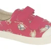 BOY Clarks Velcro | Podiatrist Approved<Halcy High (F Fit) Boys First Shoes