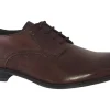 Dubarry Mens Shoes | Plain Toe<Drago 4875 Mens Leather Shoes