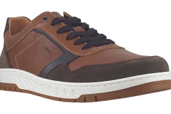 Dubarry Mens Shoes | Mens Fashion Trainers<Skater Mens Fashion Trainers
