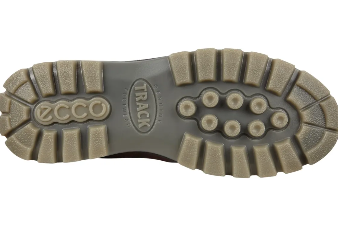 Ecco Mens Shoes<Track 25 Shoe 831714 Mens Leather Waterproof Shoes