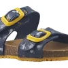 BOY Garvalin Velcro | Boys Sandals<Bio Gel SDL 242468A Boys Sandals Navy Yellow