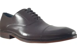 Paolo Vandini Mens Shoes | Oxford Toe Cap<Thistle Mens Leather Shoes