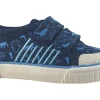 BOY Start-rite Velcro | Boys Shoes<Raptor 6208-9 (F Fit) Boys Shoes